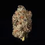 Flower/Bud